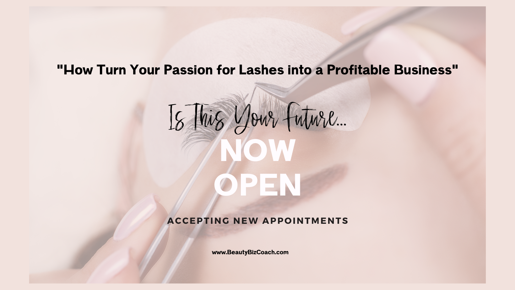 Profitable Lashes